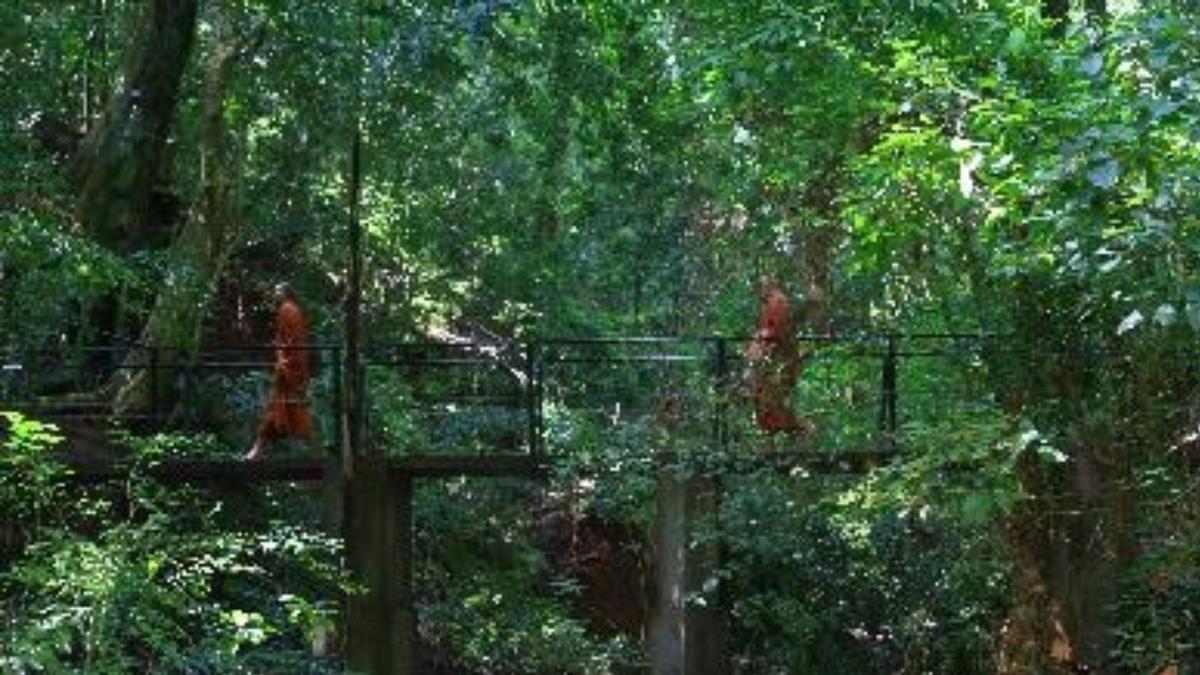 Indian among 7 Buddhist monks killed in Sri Lanka monastery cable cart accident